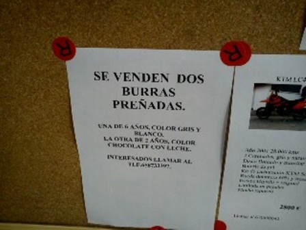 20110305084202-divorcio.jpg